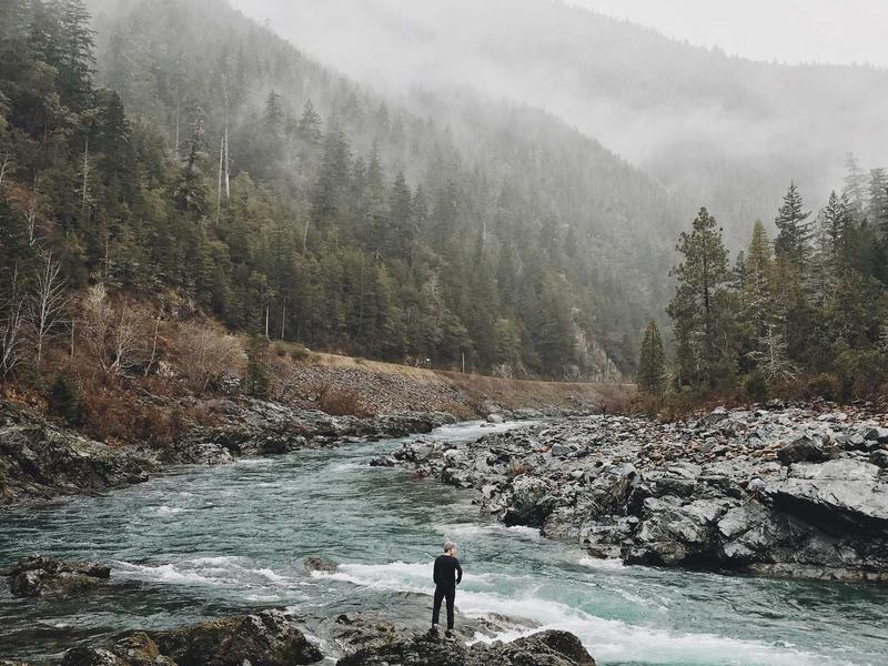 feedback screenshot 5