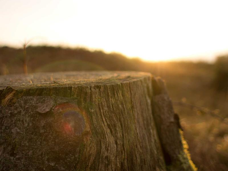 sudoku logic solving screenshot 6